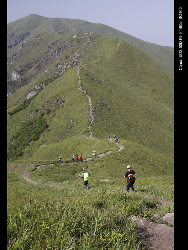 _MG_7087.jpg