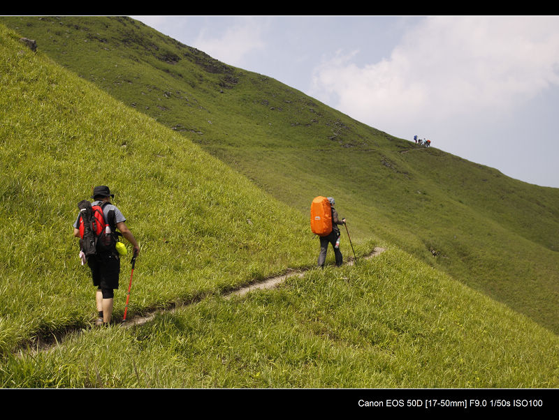 _MG_7050.jpg