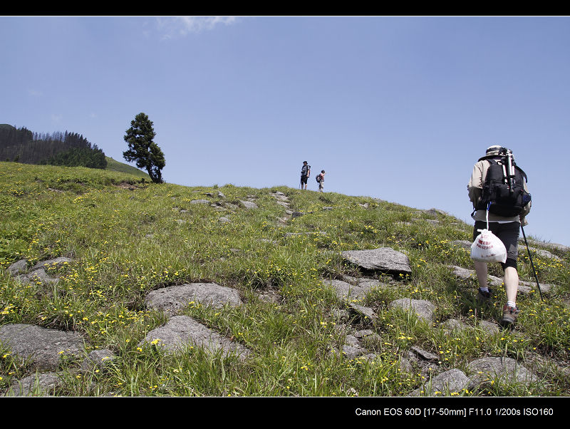 _MG_2544.jpg