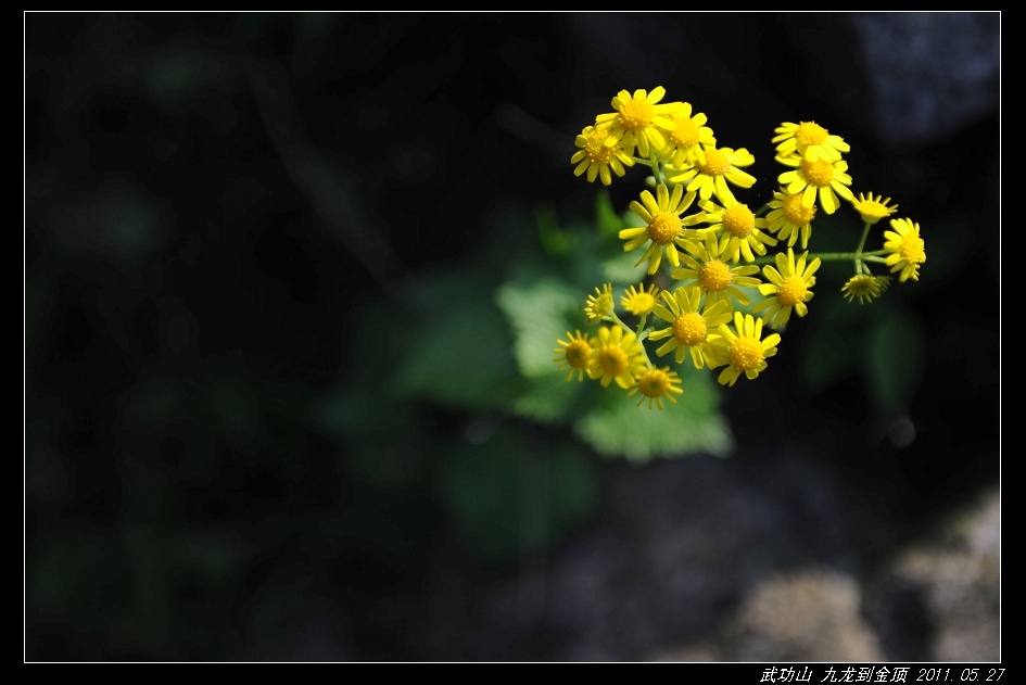 DSC_3766.jpg