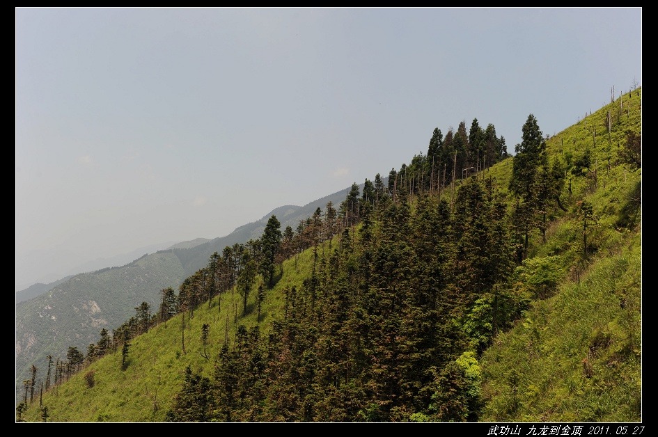 DSC_3880.jpg