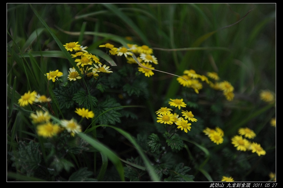 DSC_3847.jpg