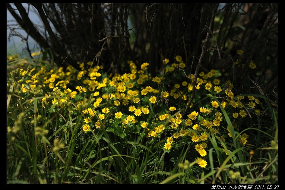 DSC_3887.jpg