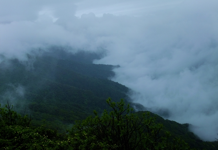 DSCF3329a.jpg