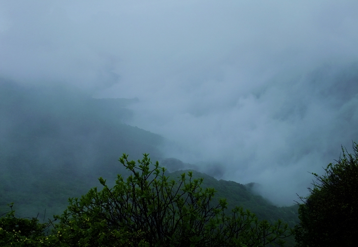 DSCF3330a.jpg