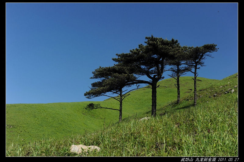 DSC_4063.jpg