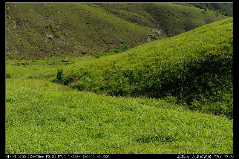 DSC_4037.jpg