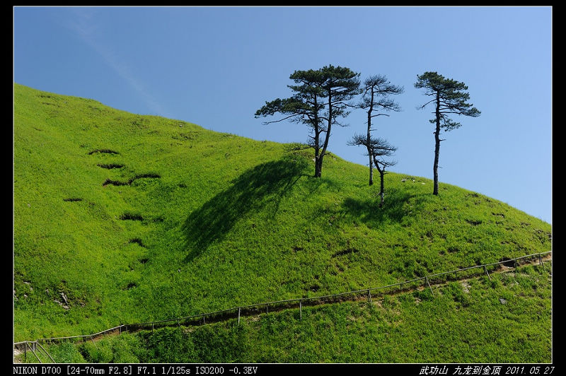 DSC_4071.jpg
