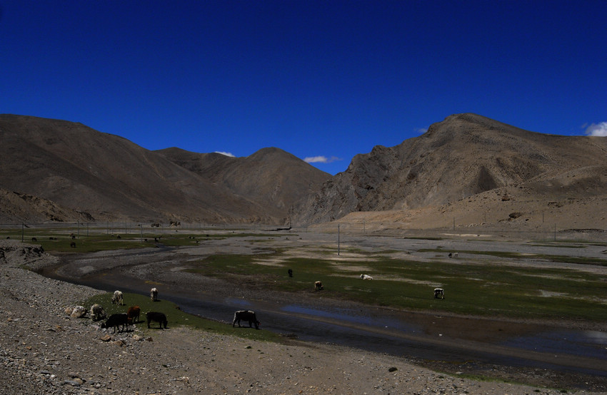 R0030069.jpg