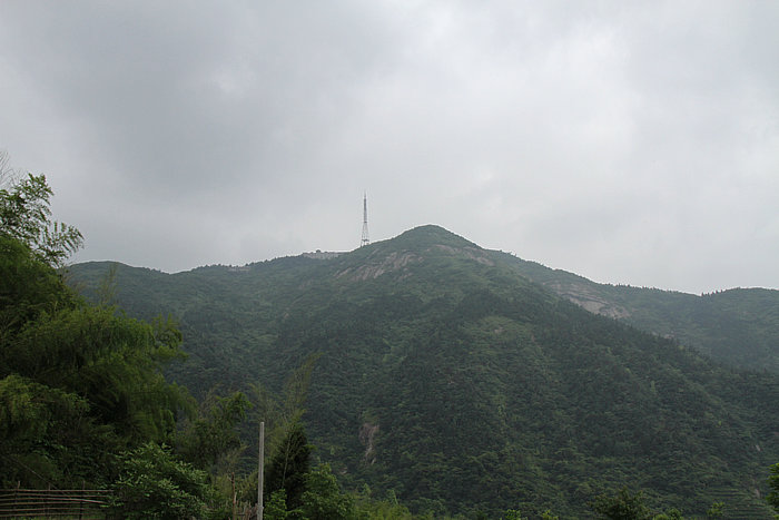 IMG_8063.jpg