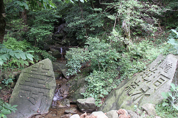 IMG_8076.jpg