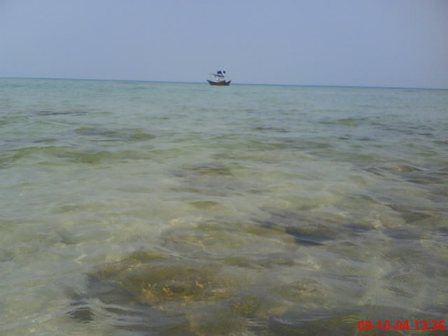 DSC00827.JPG