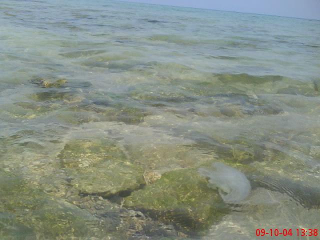 DSC00836.JPG