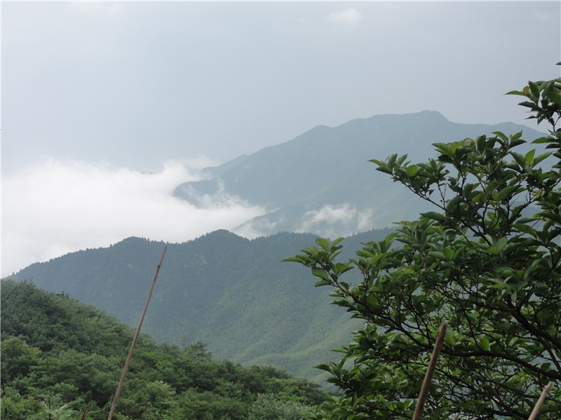 dsc01644_����.jpg