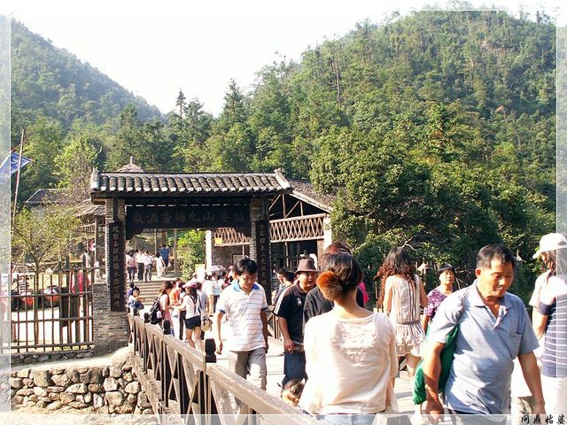 PICT9515.jpg