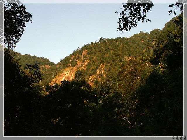 PICT9528.jpg