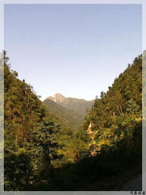 PICT9545.jpg