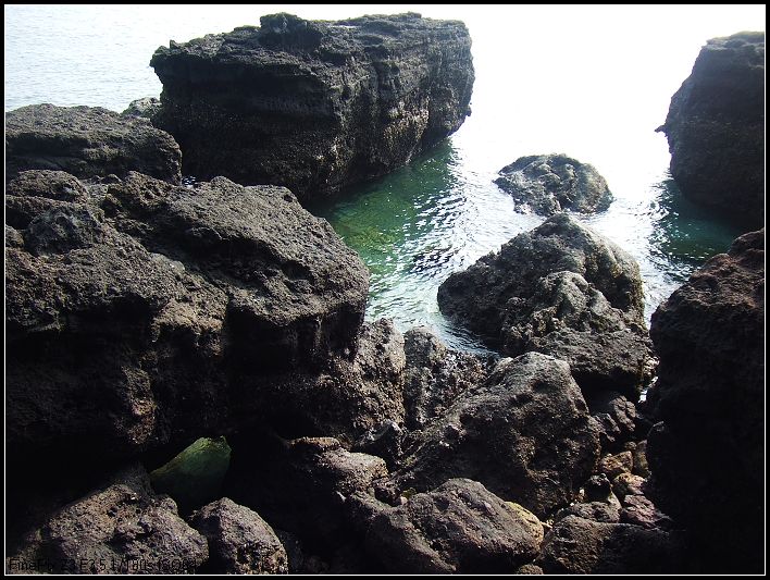 DSCF6255.JPG