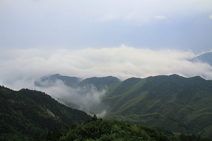 IMG_8113.jpg