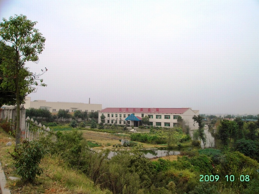 PICT0043.JPG