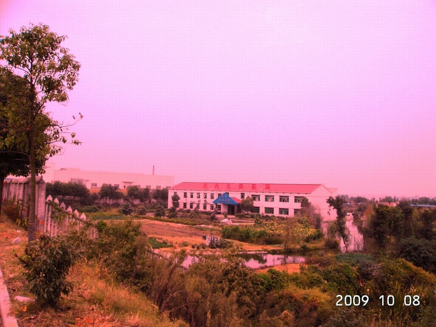 PICT0044.JPG