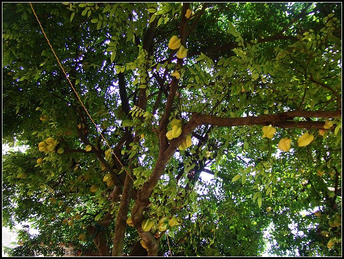 DSCF6352.JPG