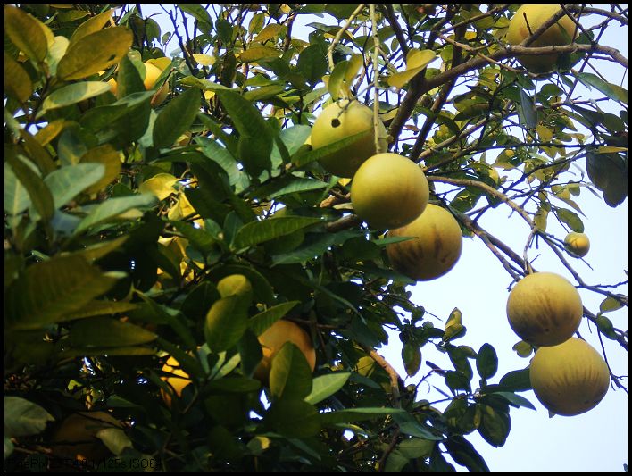 DSCF6538.JPG