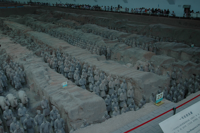 DSC_7884.JPG