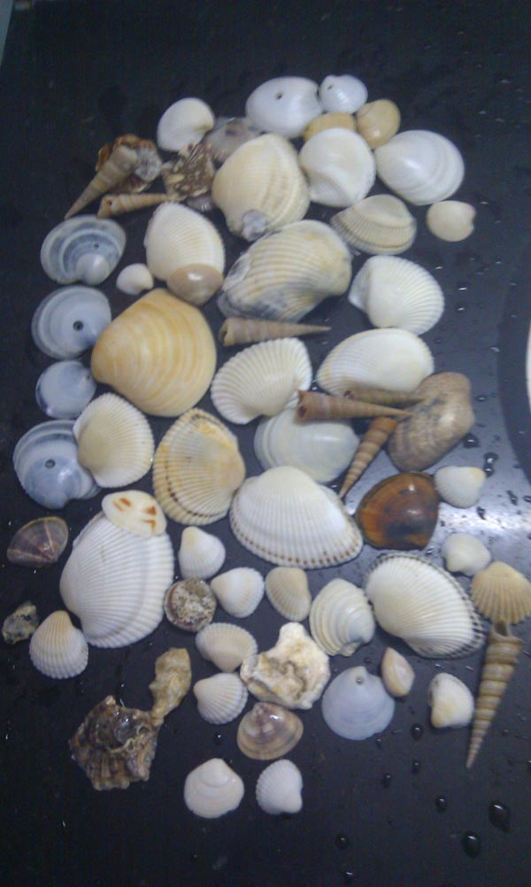 IMAG0104.jpg