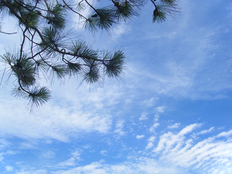 DSCF4077.jpg