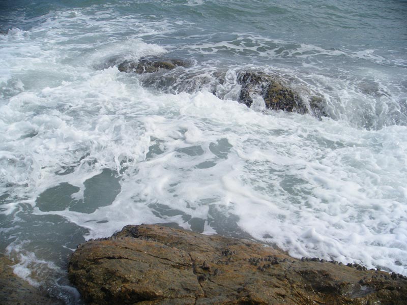 DSCF4121.jpg
