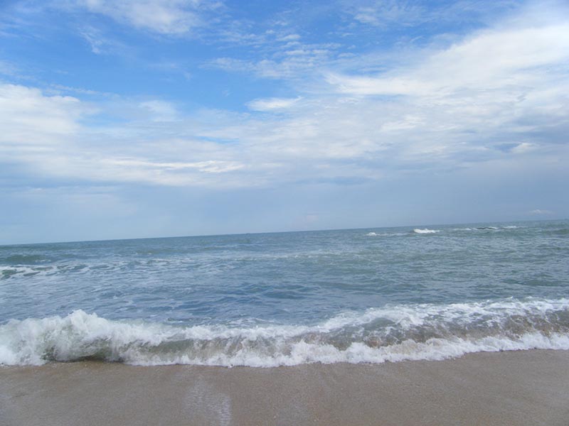 DSCF4127.jpg