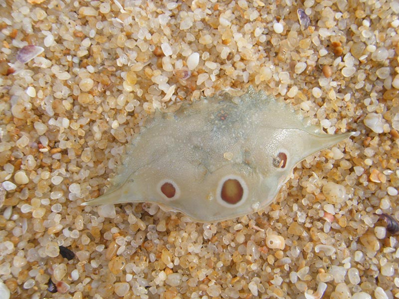 DSCF4123.jpg