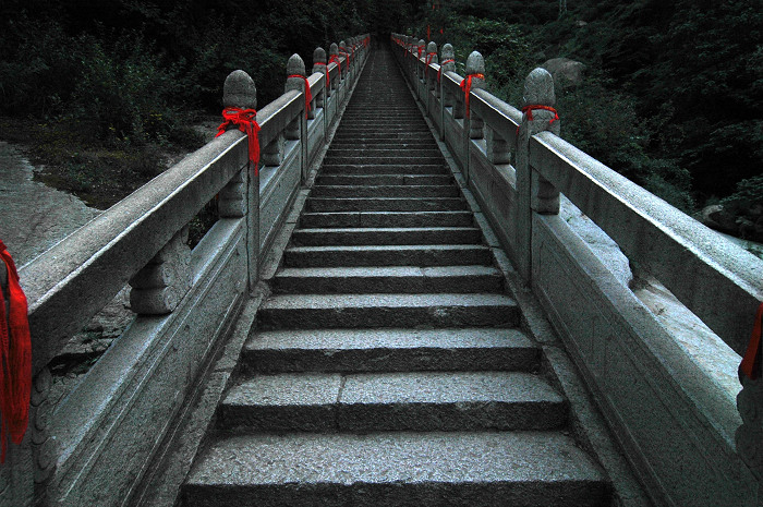 DSC_7785.JPG