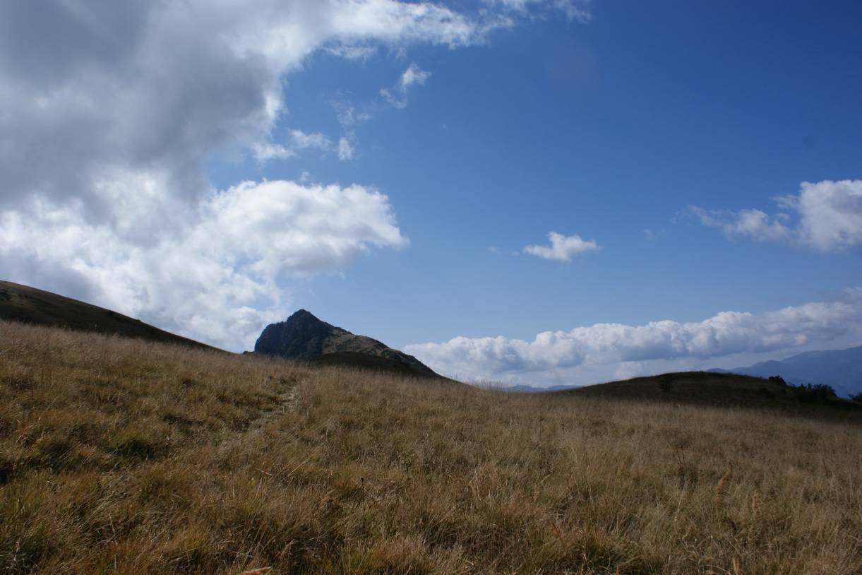 DSC06774.JPG