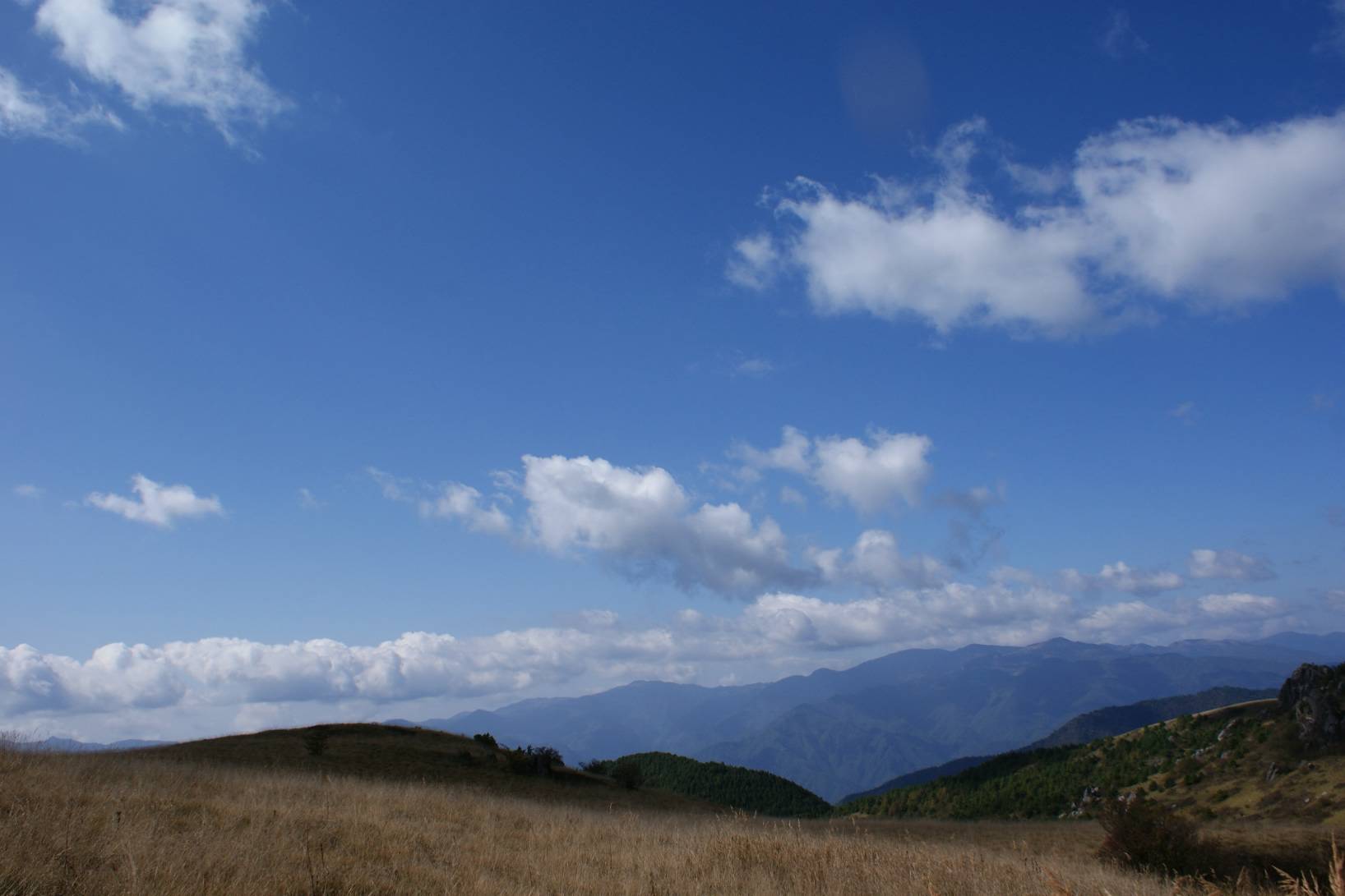 DSC06775.JPG