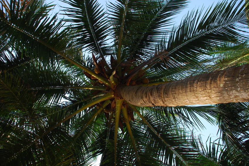 DSC_9898_��С��С.JPG