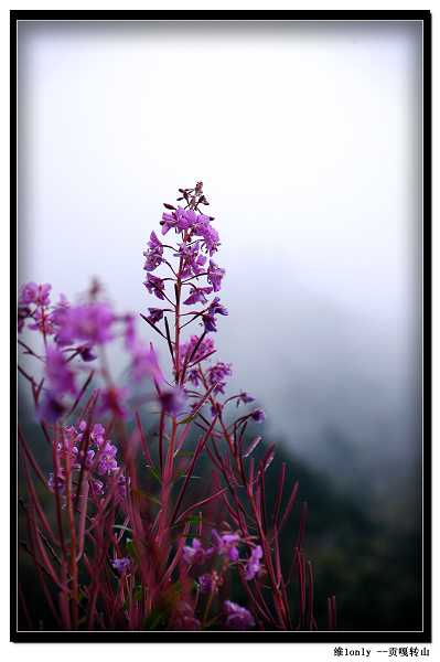 ����תɽ 060.jpg