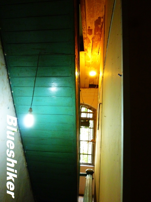 P1000965.jpg