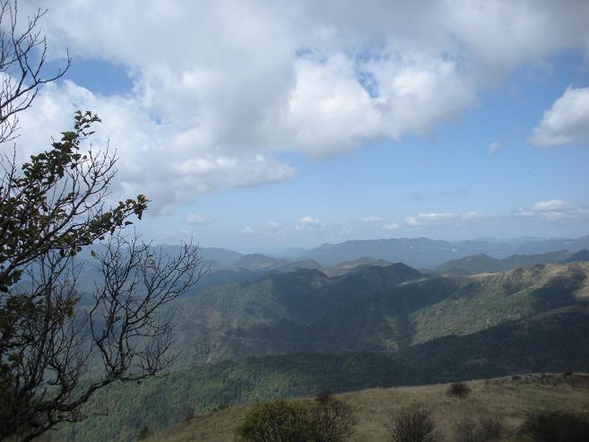 DSCN2907.JPG