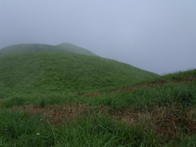 DSCF7723.JPG