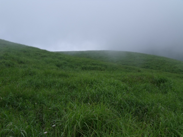DSCF7722.JPG