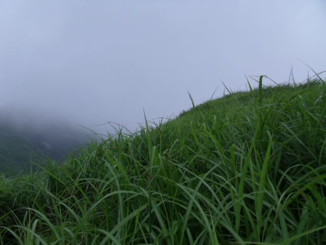 DSCF7790.JPG