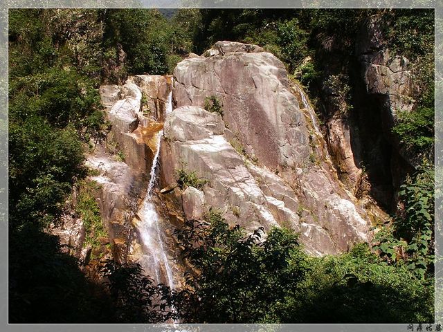 PICT9558.jpg