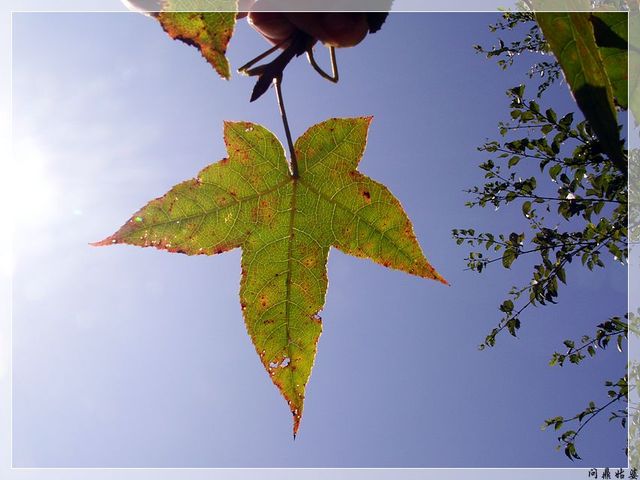 PICT9568.jpg