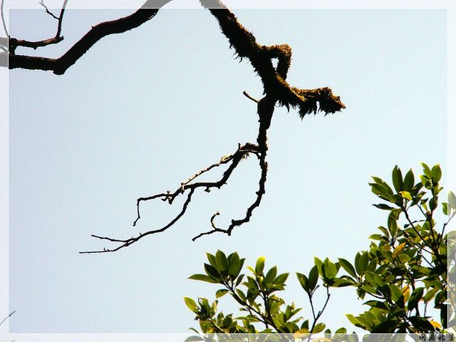 PICT9582.jpg