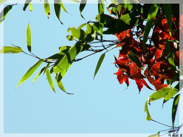 PICT9585.jpg
