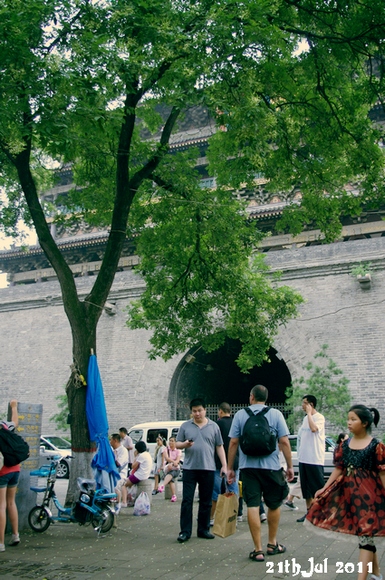 IMGP7186.jpg