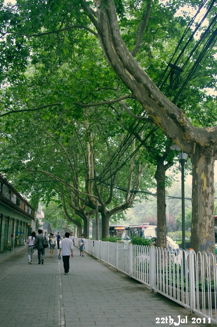 IMGP7231.jpg