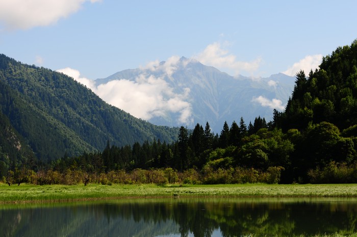 DSC_6215.jpg